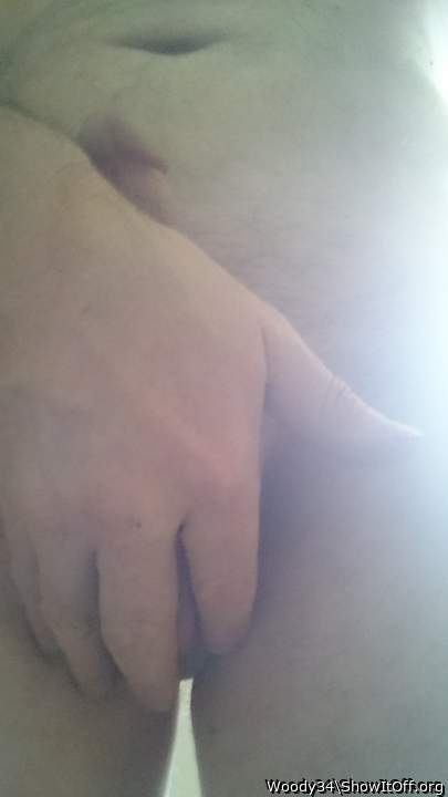 Photo of a middle leg from Woody34