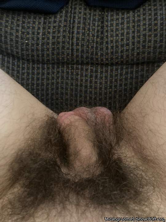 nice pubic hair 