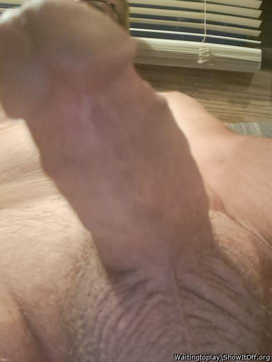 Photo of a bat from Waitingtoplay