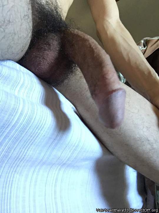 Morning wood 1