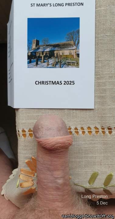 Photo of a weasel from sambloggs