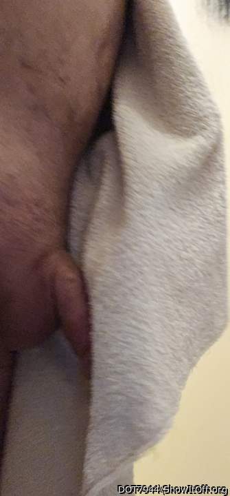 Adult image from DOT7944