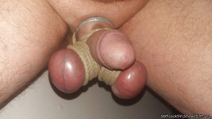 Photo of a wiener from Stiffcock59