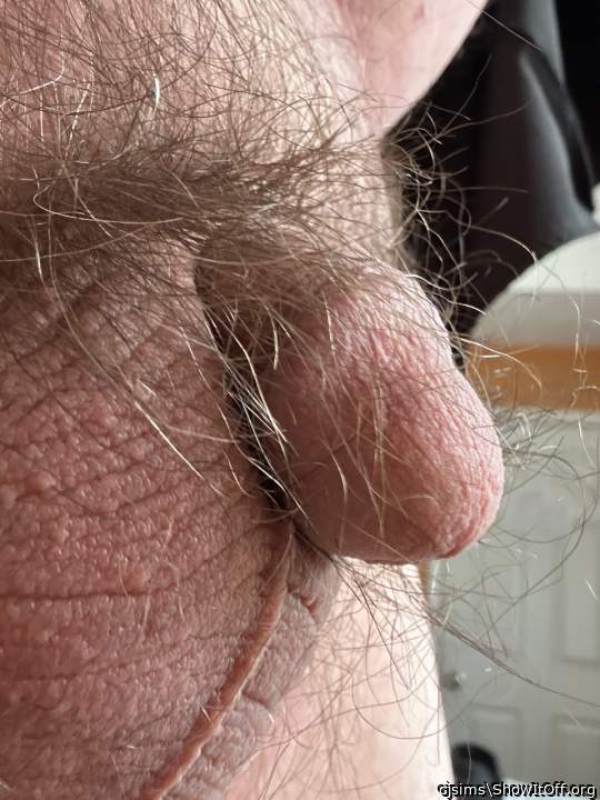 Photo of a stiffie from cjsims