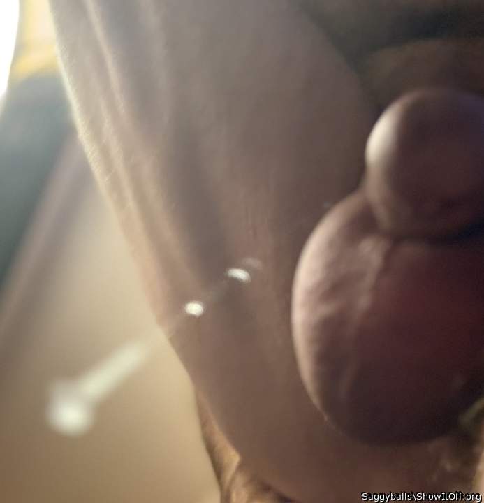 Photo of a schlong from Saggyballs