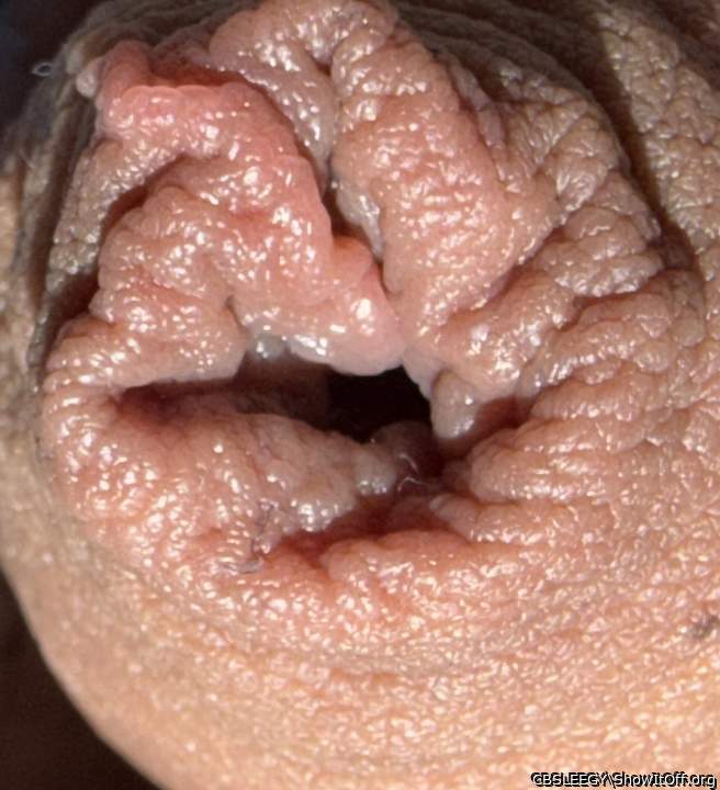 Which bit to eat first?