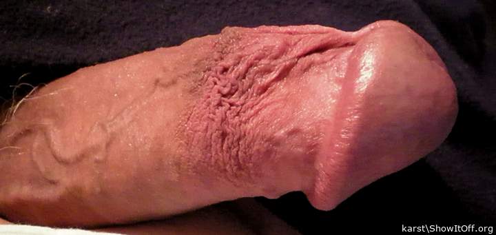 Photo of a middle leg from karst