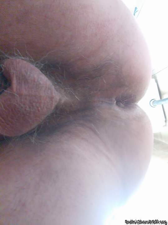 Photo of a cock from Dulle