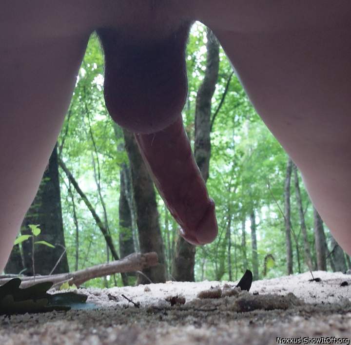 Photo of a penis from Noxxus