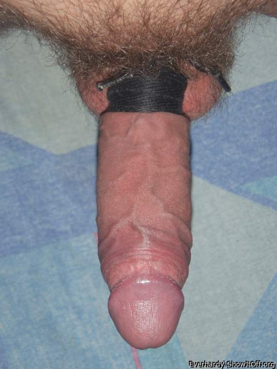 My unshaved hard cock