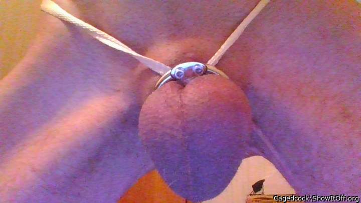 Inverted cage.