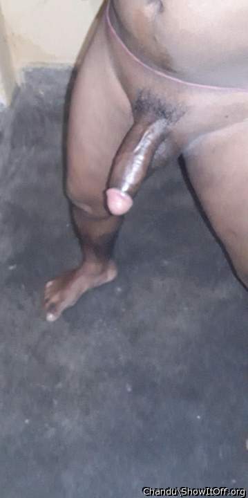 Photo of a middle leg from Chandu