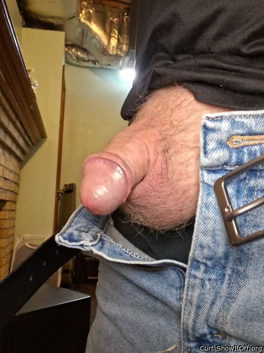 Photo of a equipment from Curt