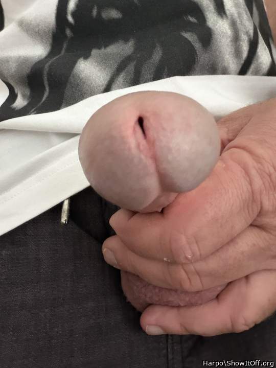 Photo of a snake from Harpo