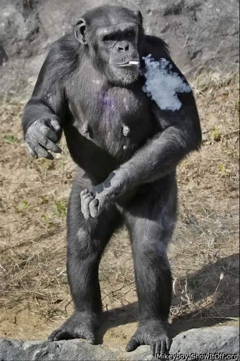 Adult image from Mikeyboy