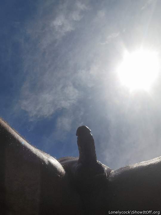 Photo of a short leg from Lonelycock