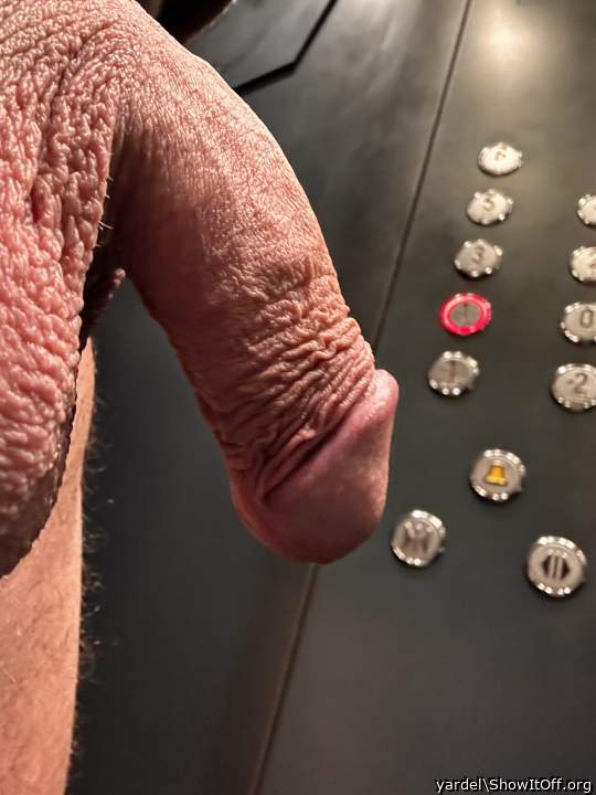 old cock