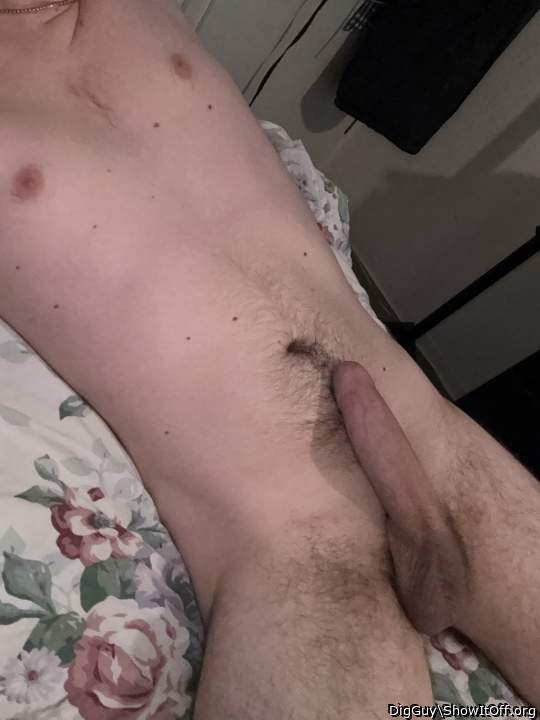 Photo of a ram rod from DigGuy