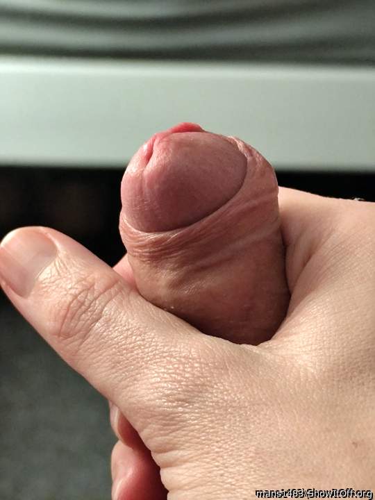 Photo of a pocket rocket from mans1483