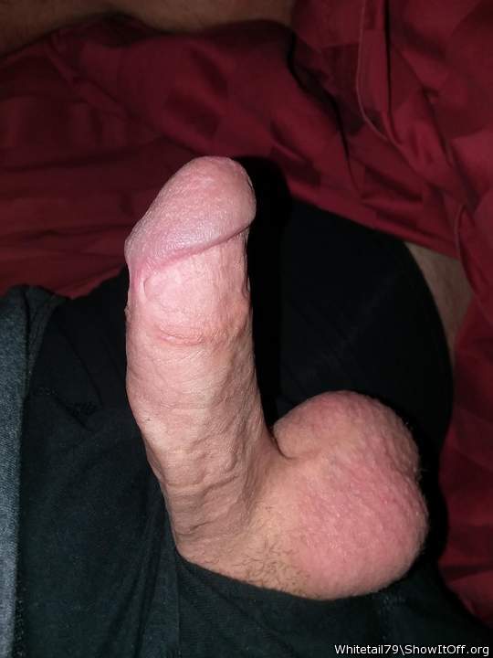 Mouthwatering cock!