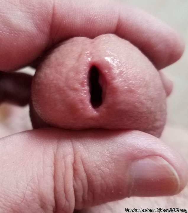 Great photo- Awesome cock!   