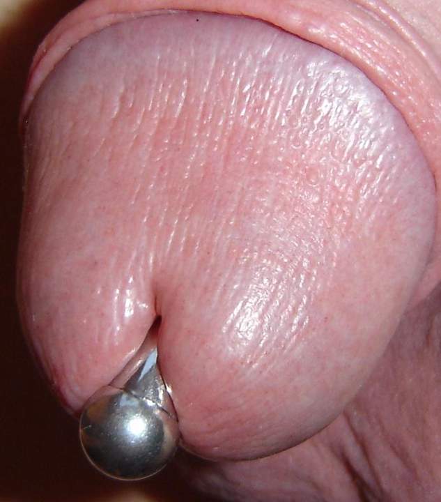 Glans penis with 8mm Princebell