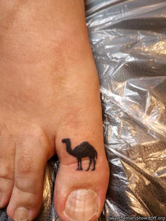 I LOVE CamelToes