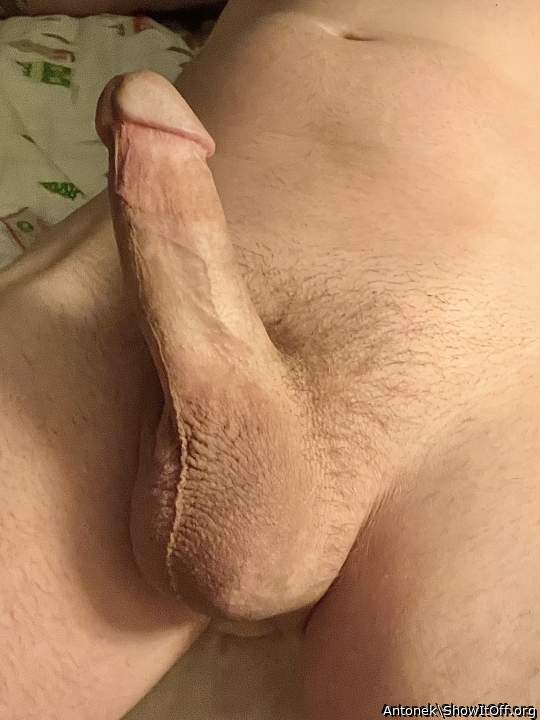 Photo of a wiener from Antonek