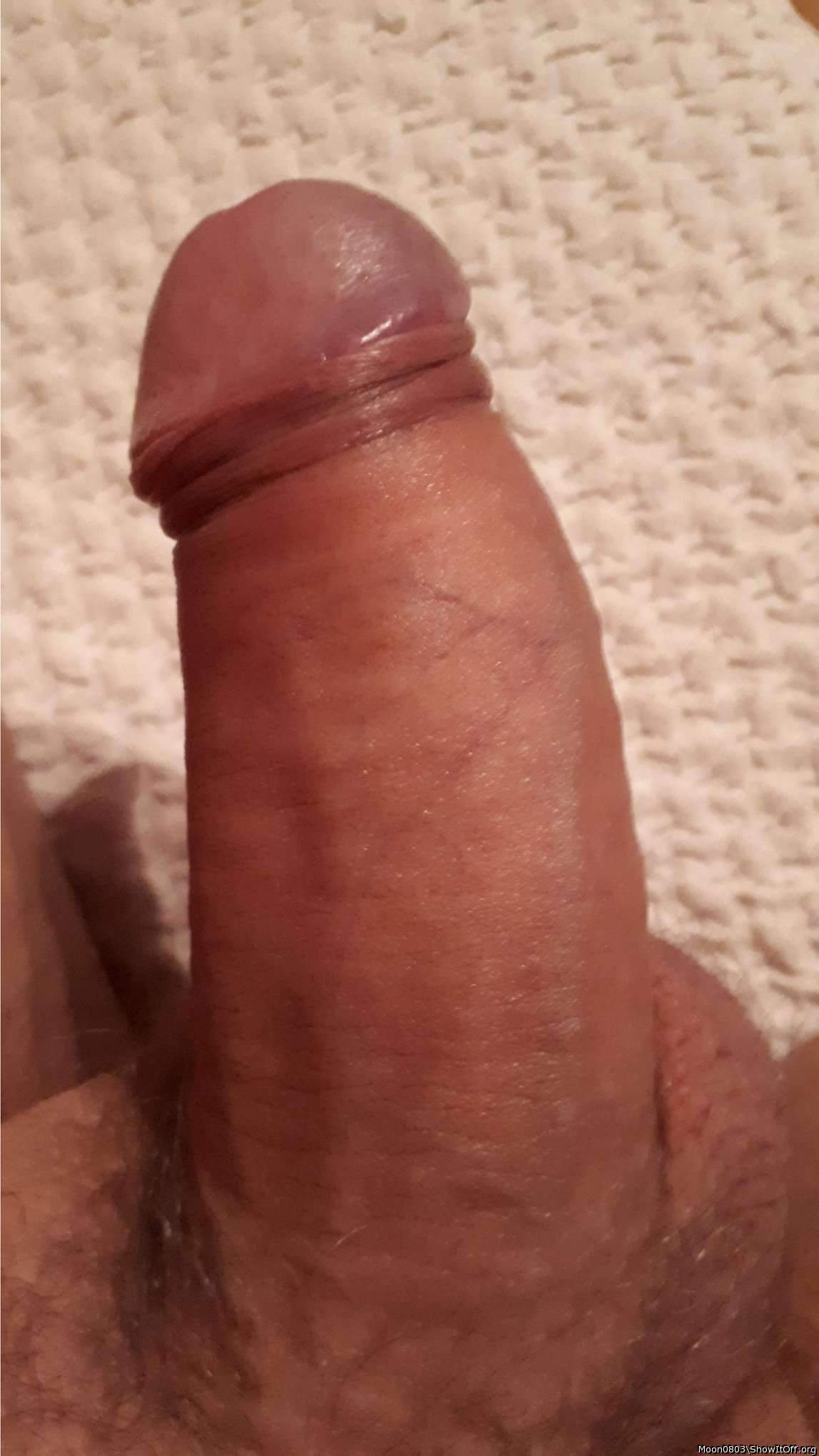 Nice fat dick. Love to suck you off.    