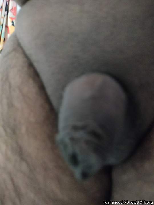 Photo of a horn from roshancock