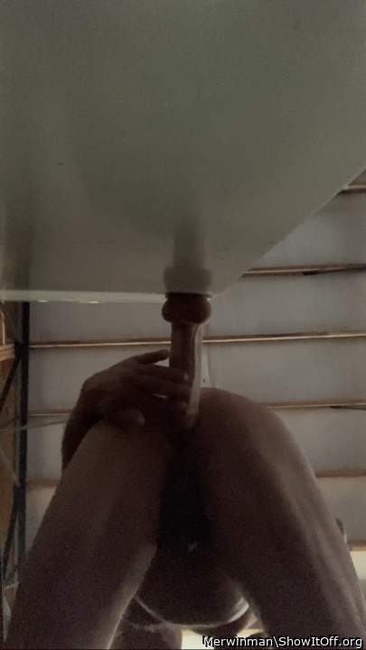 Photo of a middle leg from Merwinman