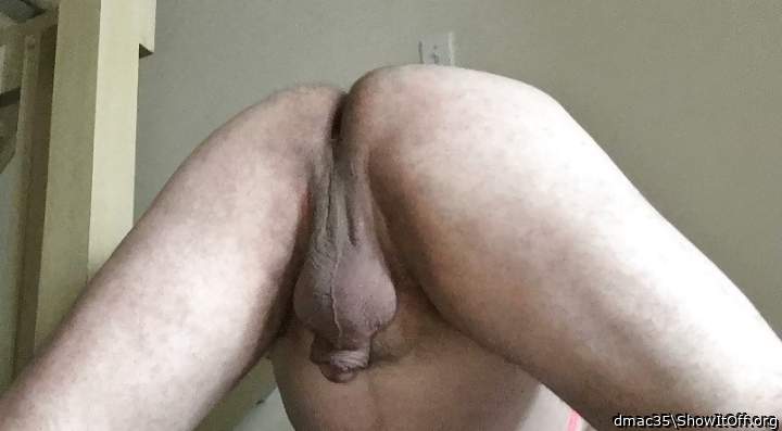 ass  up