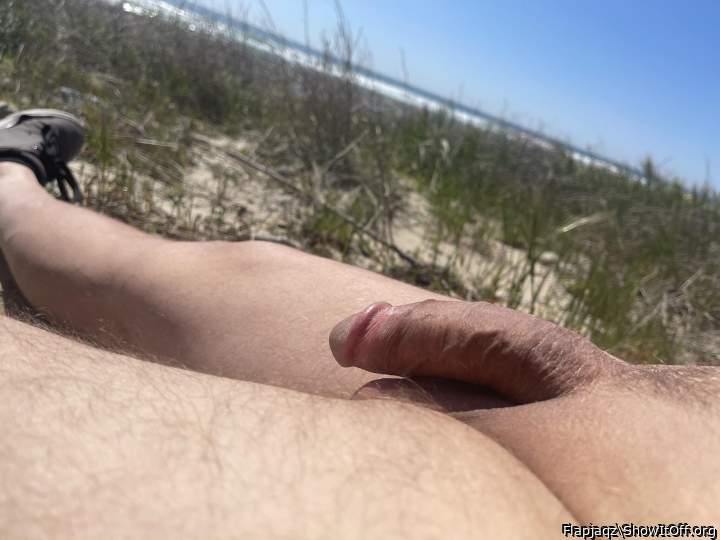 Photo of a lizard from Flapjaqz