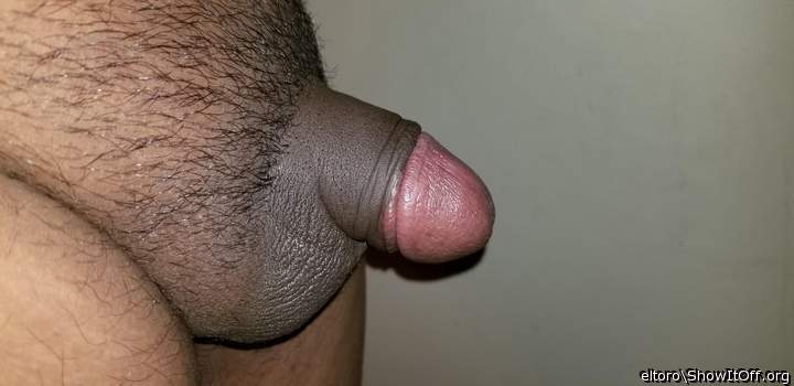 Lovely cut cock 