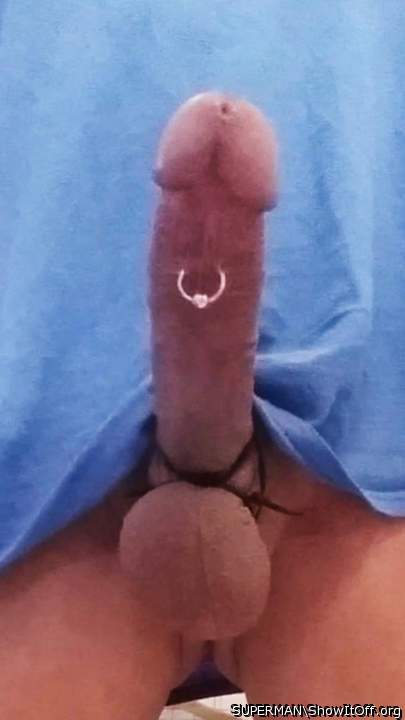 My pierced hard dick