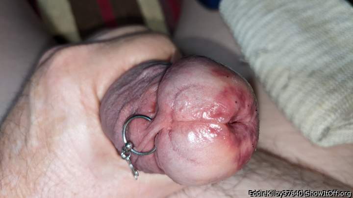 Couldn't find Tortured dicks