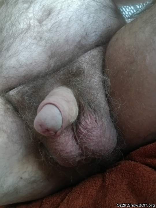 Photo of a hot dog from Oz29