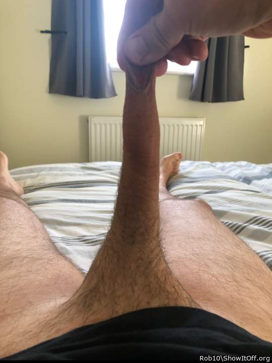 Photo of a lizard from Rob10