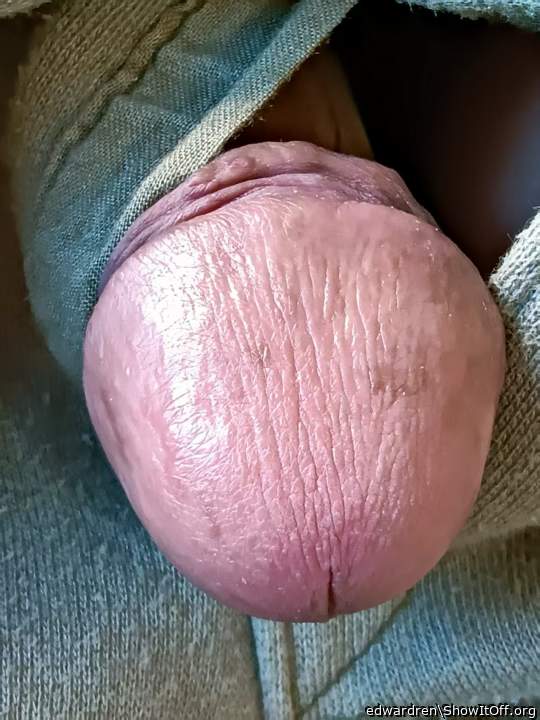 Photo of a ram rod from edwardren