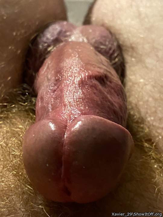 Photo of a snake from Xavier_29