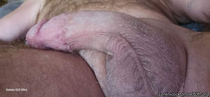 Photo of a third leg from Lonelycock