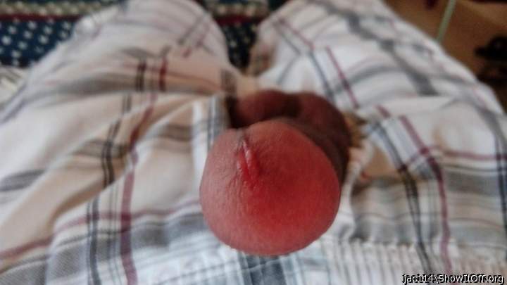 Photo of a cock from jac114