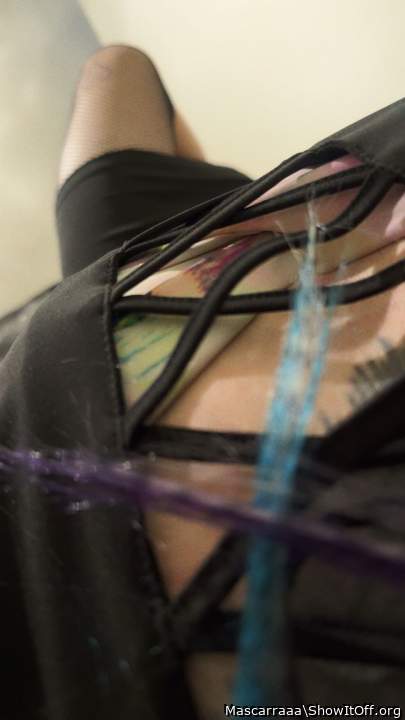 Photo of a middle leg from Mascarraaa