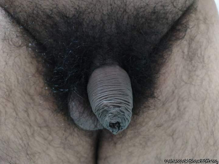 Photo of a cock from roshancock