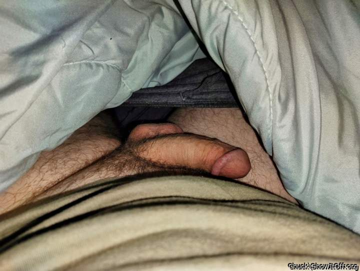 Photo of a short leg from Chuck