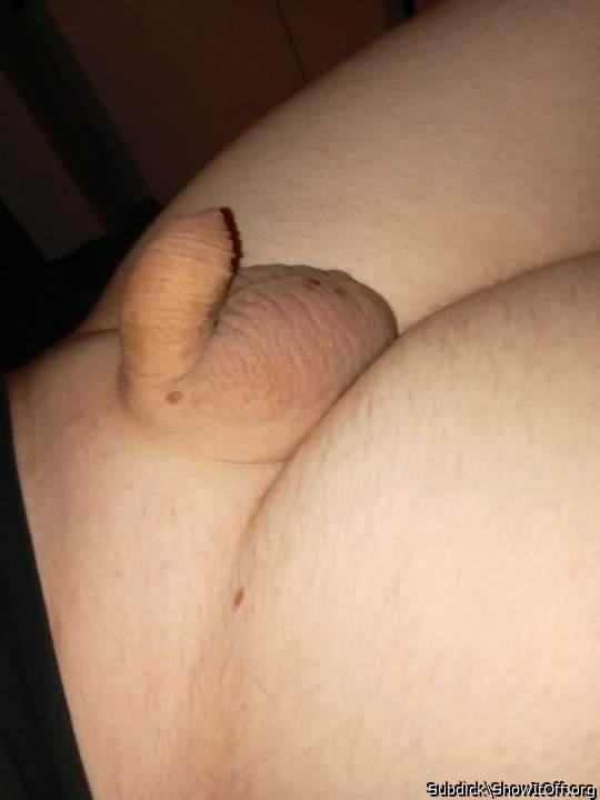 Photo of a bat from Subdick