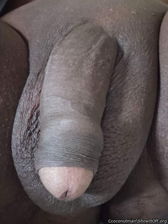 Dick with foreskin