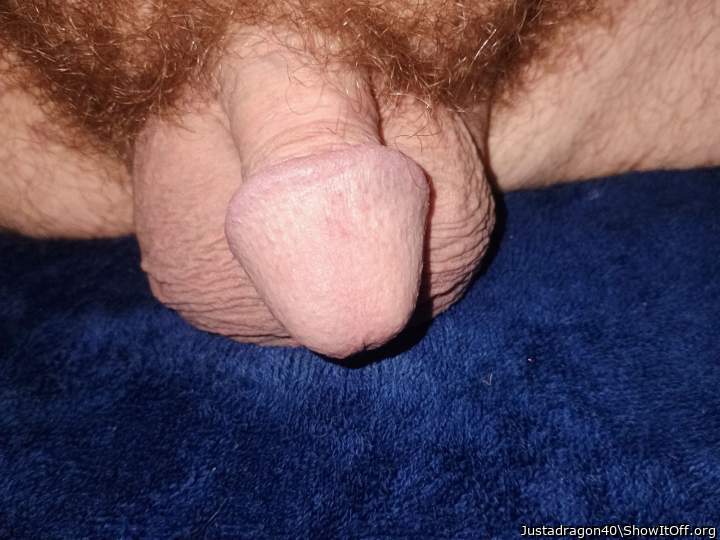 Photo of a weasel from Justadragon40
