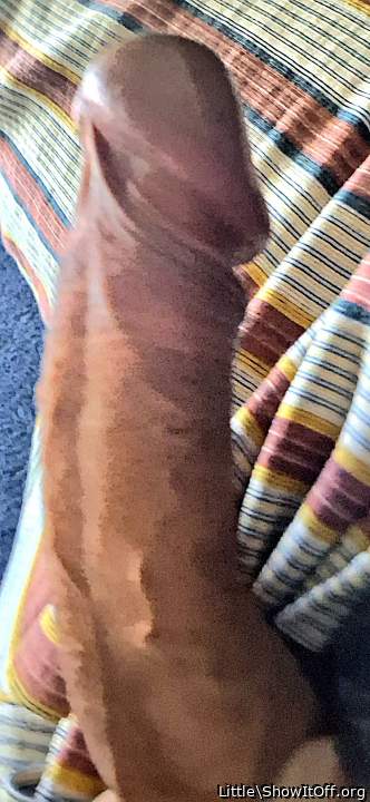 Great boned up cock man!   