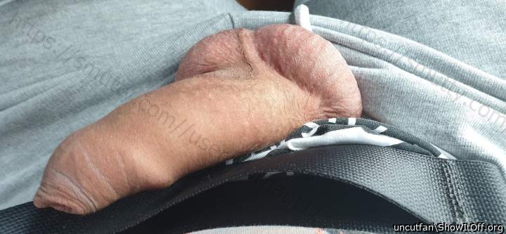 Pulled my dick out in the bus